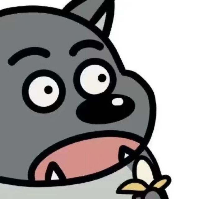 开发者头像